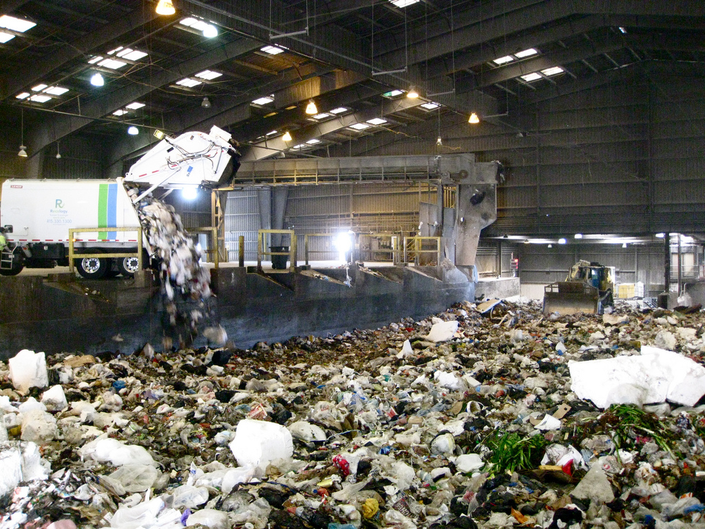 How to Dispose of Yard Waste Without Dumping It Illegally