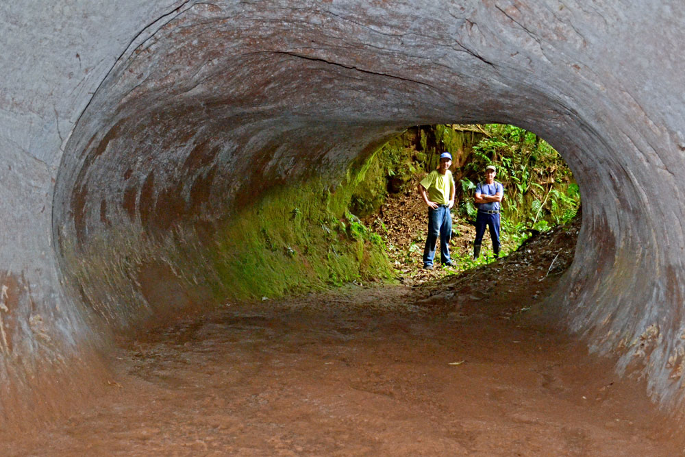 There Are Huge Tunnels in South America Dug By Extinct Giants Sloths