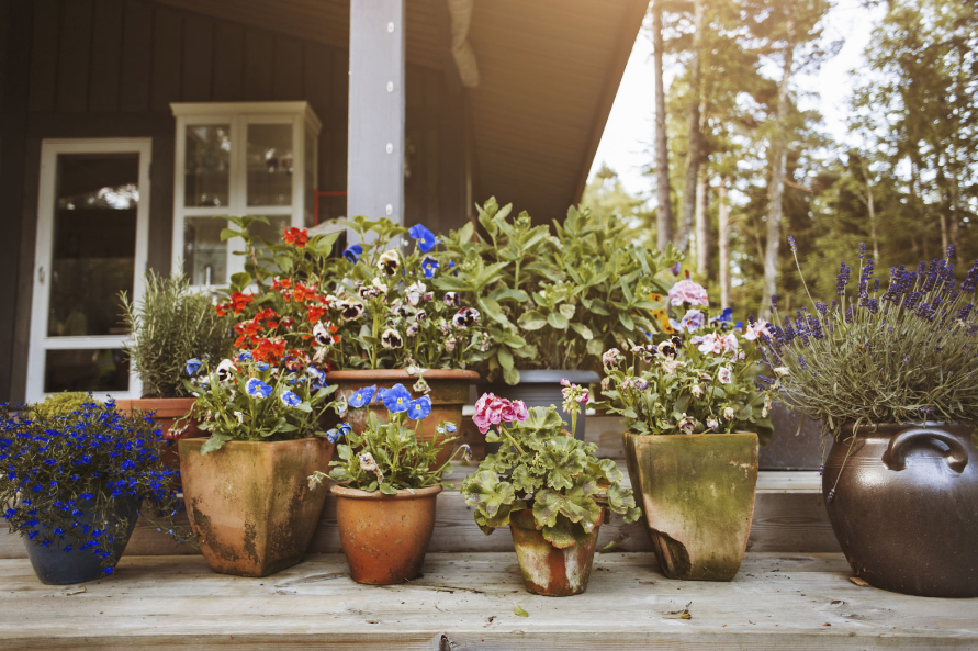 Garden Ideas Low Maintenance 11 landscaping ideas to transform your yard in spring 2017 Garden Ideas Low Maintenance 11 landscaping ideas to transform your yard in spring 2017