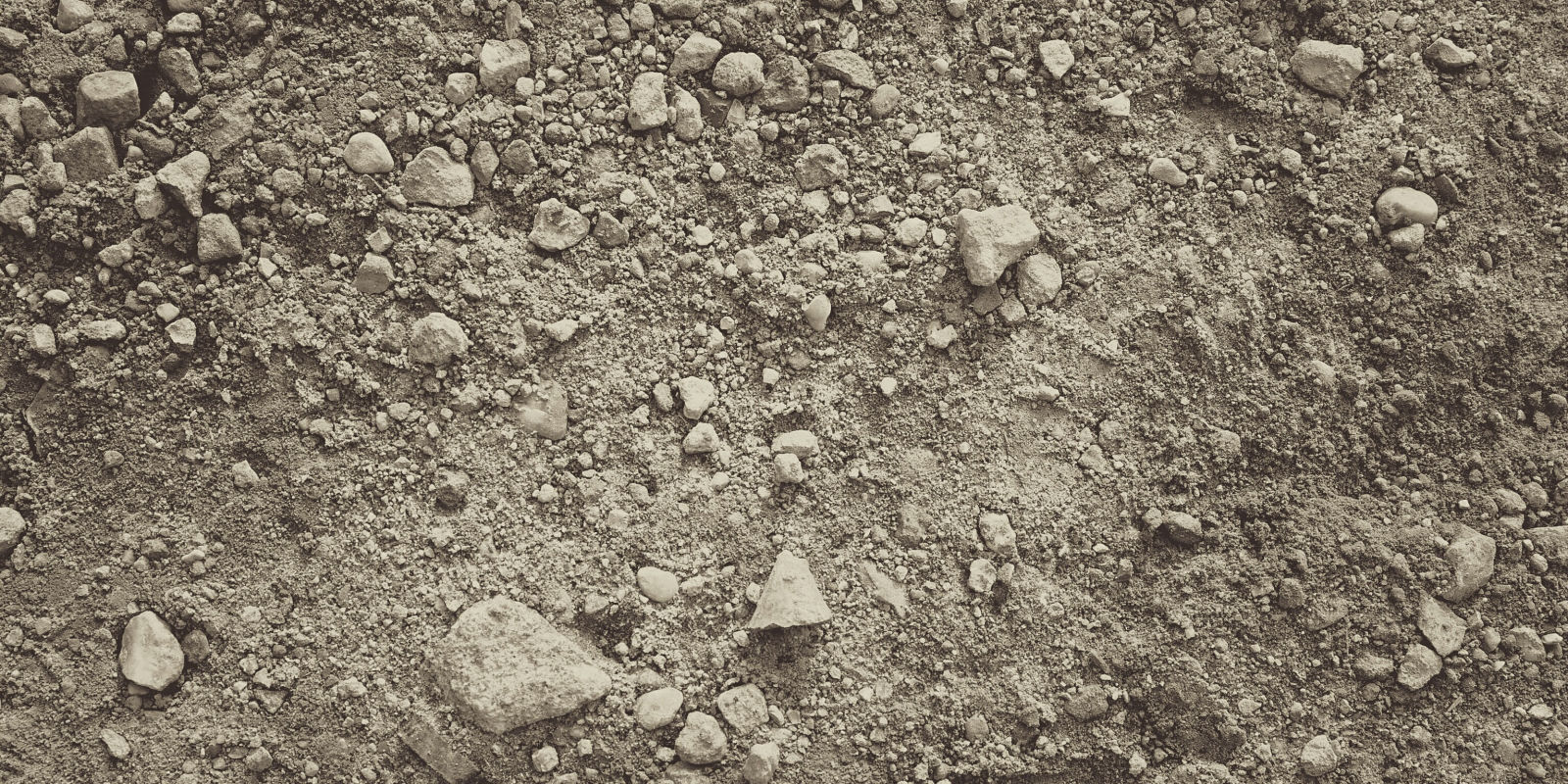 Who Buys Used Cars >> Scientists Find New Antibiotic Hiding in the Dirt Who Buys Used Cars >> Scientists Find New Antibiotic Hiding in the Dirt