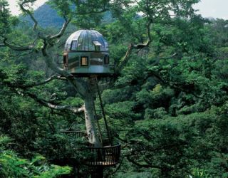 Treehouse tree house pictures - amazing treehouses Treehouse tree house pictures - amazing treehouses