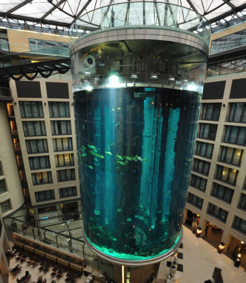 The World's 18 Strangest Elevators