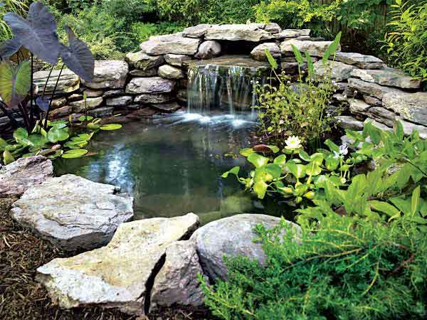 Small Backyard Pond Designs garden pond design ideas deluxe ponds small backyard A Pond That Is Adjacent To A Path Also Can Pose A Tripping Hazard Especially At Night In Such An Area The Path Should Be Illuminated With Low Voltage Small Backyard Pond Designs backyard pond or raised bed using a large plastic container A Pond That Is Adjacent To A Path Also Can Pose A Tripping Hazard Especially At Night In Such An Area The Path Should Be Illuminated With Low Voltage