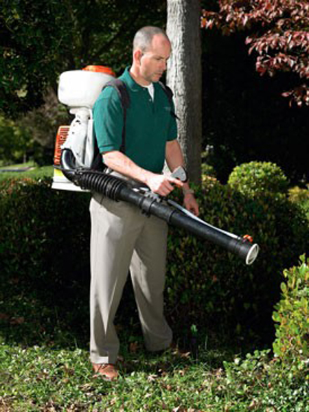 How Get Rid of Mosquitoes in Your Yard - 5 Treat the Yard