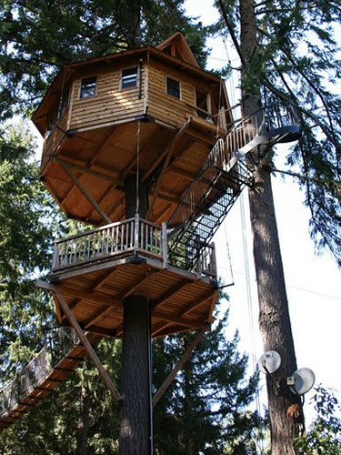 Circular Tree House 10 best treehouse plans and designs - coolest tree houses ever Circular Tree House 10 best treehouse plans and designs - coolest tree houses ever