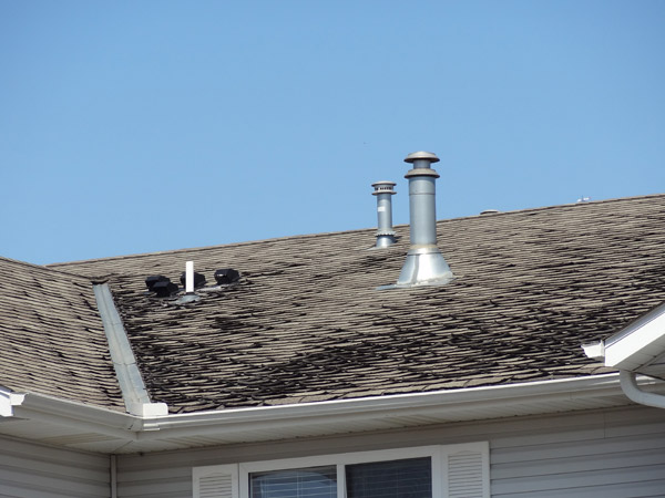 My Roof Is Leaking 8 things your roof is trying to tell you My Roof Is Leaking 8 things your roof is trying to tell you