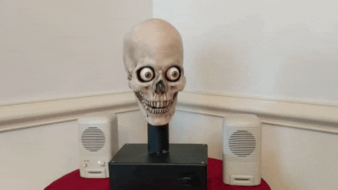 hd-aspect-1489506575-skull-crop.gif